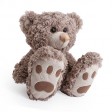 TEDDY & TOWEL  BOX - (sorry out of stock)